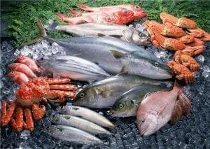 ТР ЕАЭС «О безопасности рыбы и рыбной продукции» 