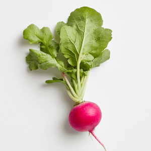 radish