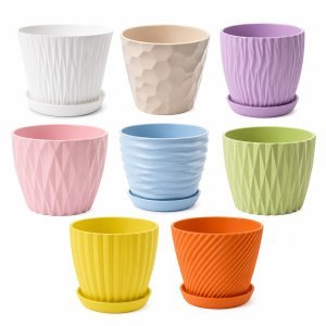 Сертификация кашпо 