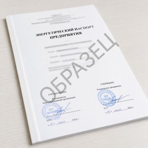 Энергетический паспорт предприятия 