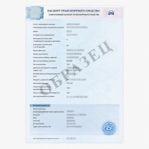 Оформление электронных паспортов транспортных средств