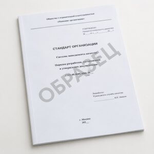 Разработка стандарта организации